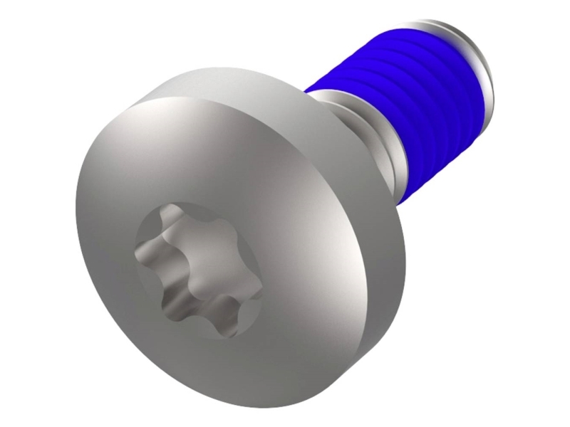 Rugged Likoschr.Torx M4x10 (100Stk) (24566103)