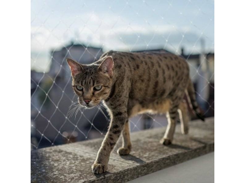 Duvo+ Duvo+ Läpinäkyvä verkko 3x2M 11509