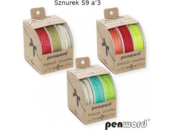 Penword S9 a3 Penword