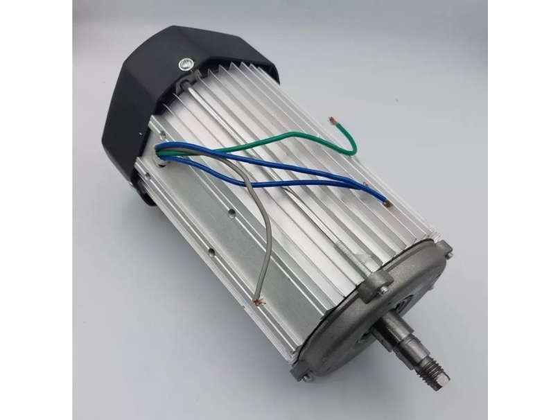 Dedra Silnik 800 W elektros variklis