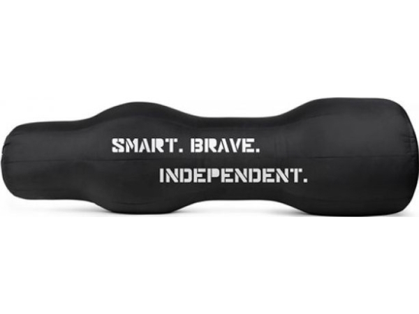 Tiguar fight-wæskepose MMA 40 kg