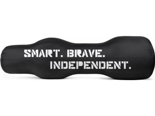 Tiguar fight rep MMA 30 kg