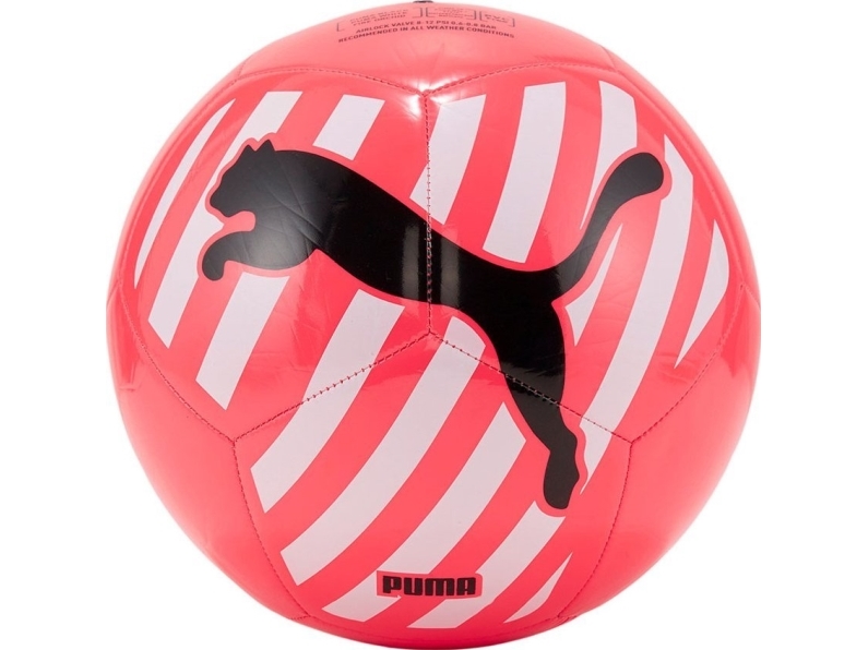 Puma Puma Puma Cat Ball 083994-05