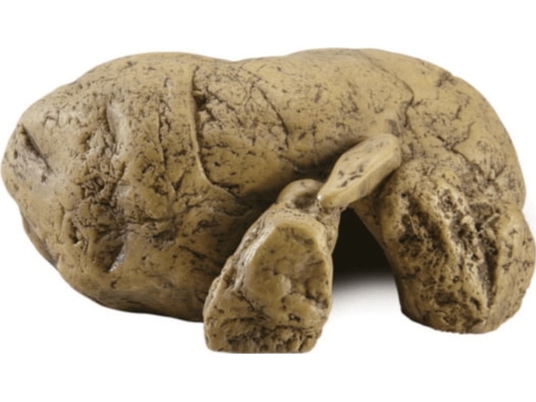 Exo Terra Exo Terra Reptilienhöhle Medium - Höhlenversteck M