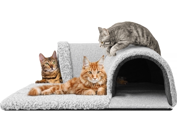 Hobbydog TUNEL GALLERY