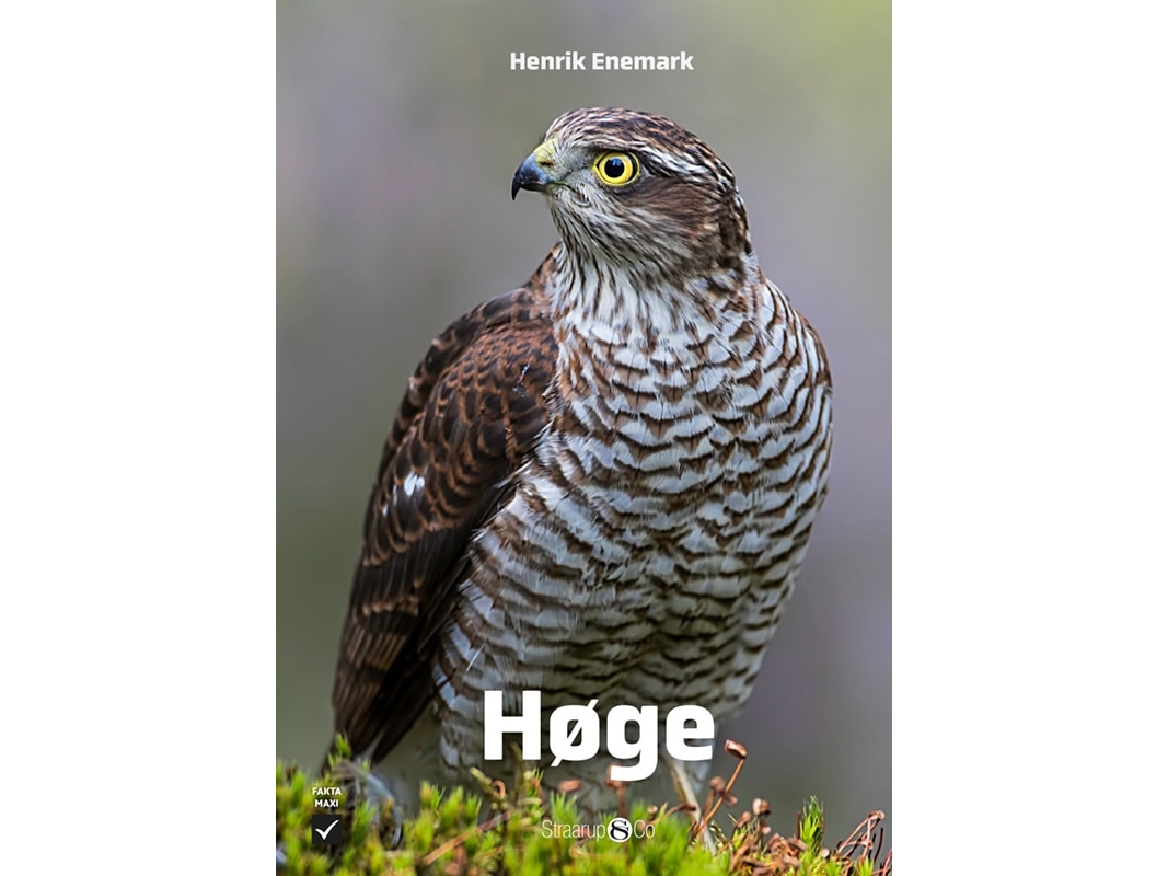Høge | Henrik Enemark