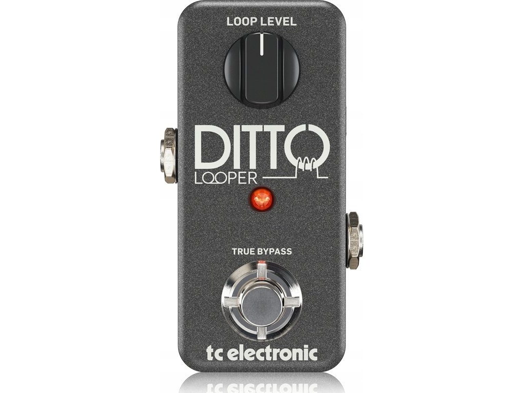 TC Electronic Ditto Looper Looper