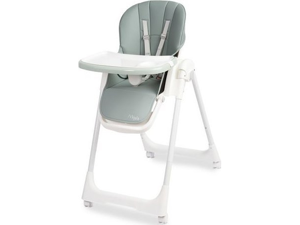 MEGALO MINT CHECKING STEST