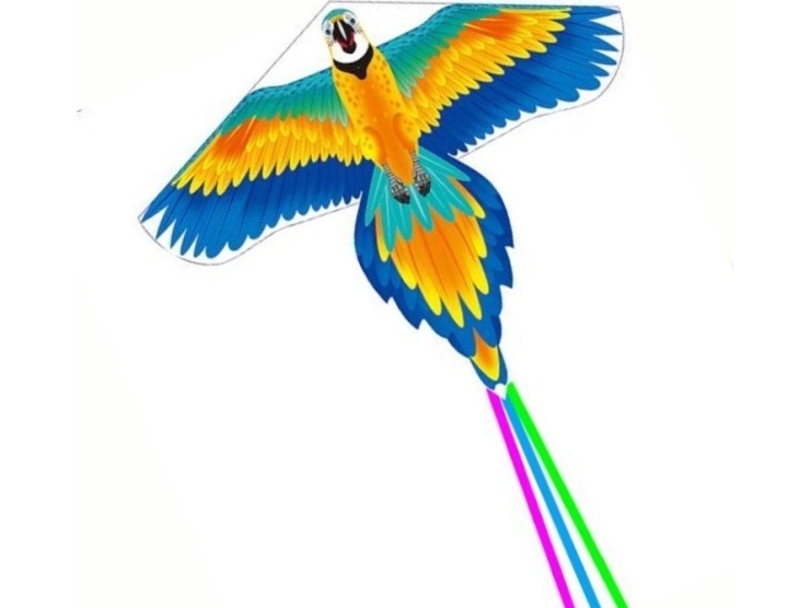 LeanToys Large Kite Bird Long Tail Ribbons Farvet papegøje 250 cm x 140 cm