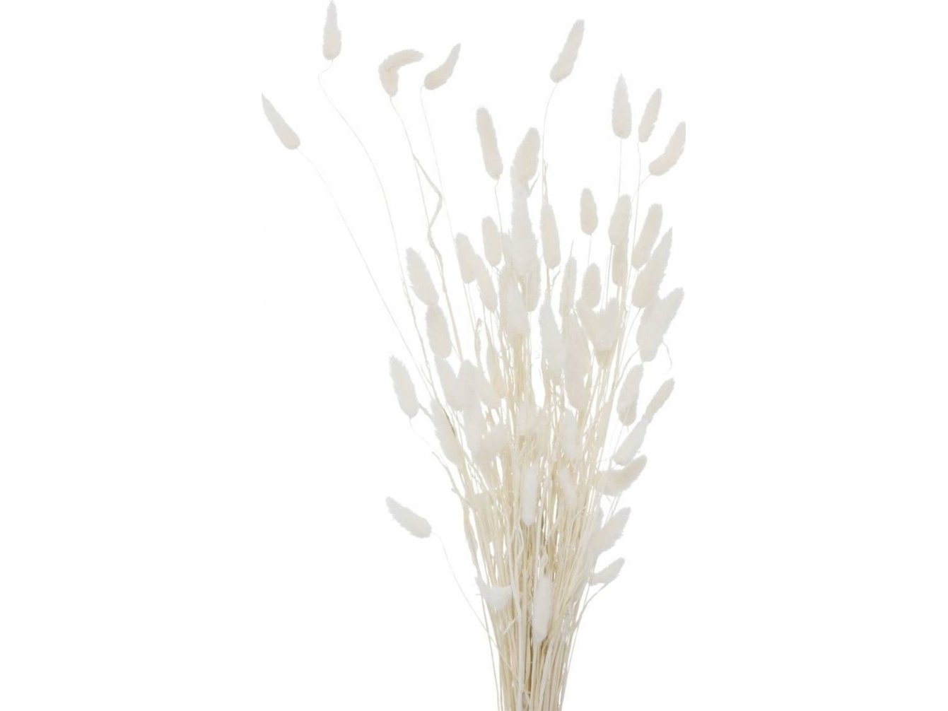 Boltze Dekorative Zweige Für Vase, Getrocknet, 70 Cm