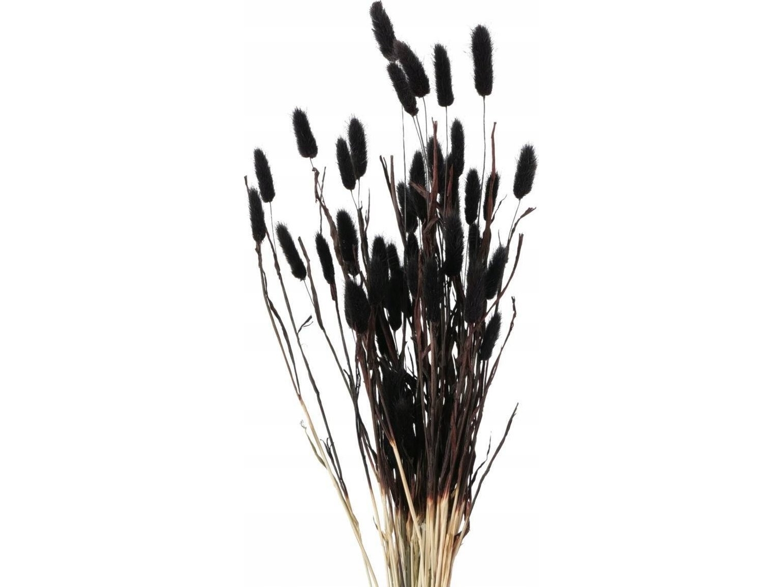 Boltze Dekorative Zweige Für Vase, Getrocknet, 70 Cm
