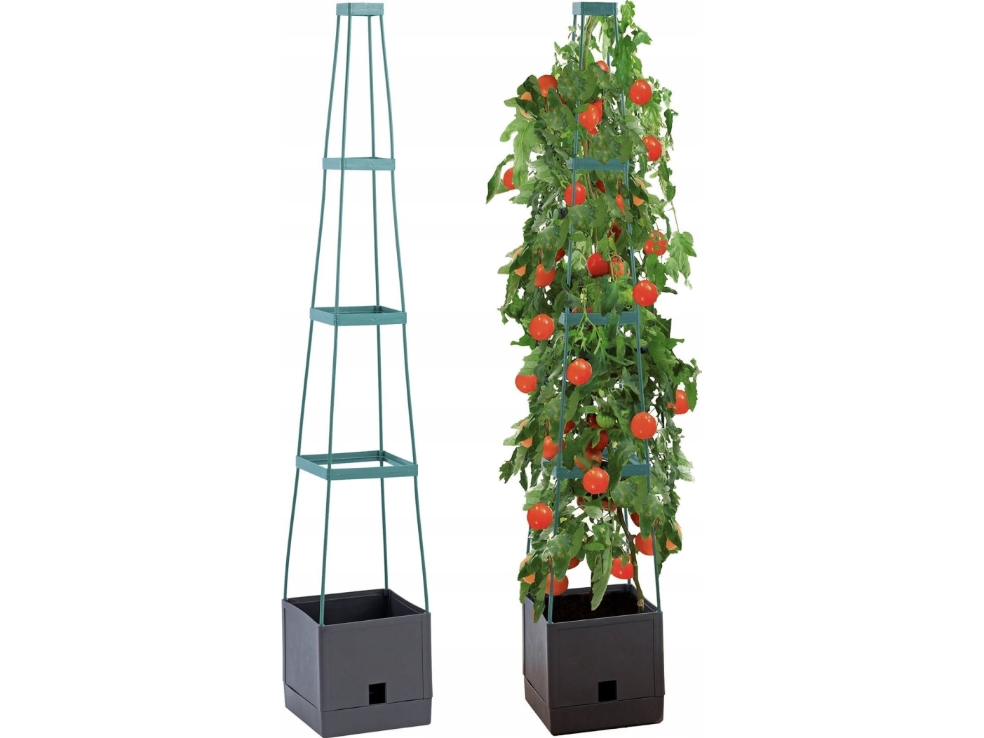 Maximex Topf Mit Stützen Für Den Anbau Von Tomaten, Kletterpflanzen, 150 Cm