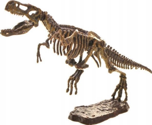 Yokomisiad T-REX 3D skelett utgrävning ZA1777 A | Leksaker - Vetenskap & Upptäckt - Biologi, geologi och arkeologi | GameStuff