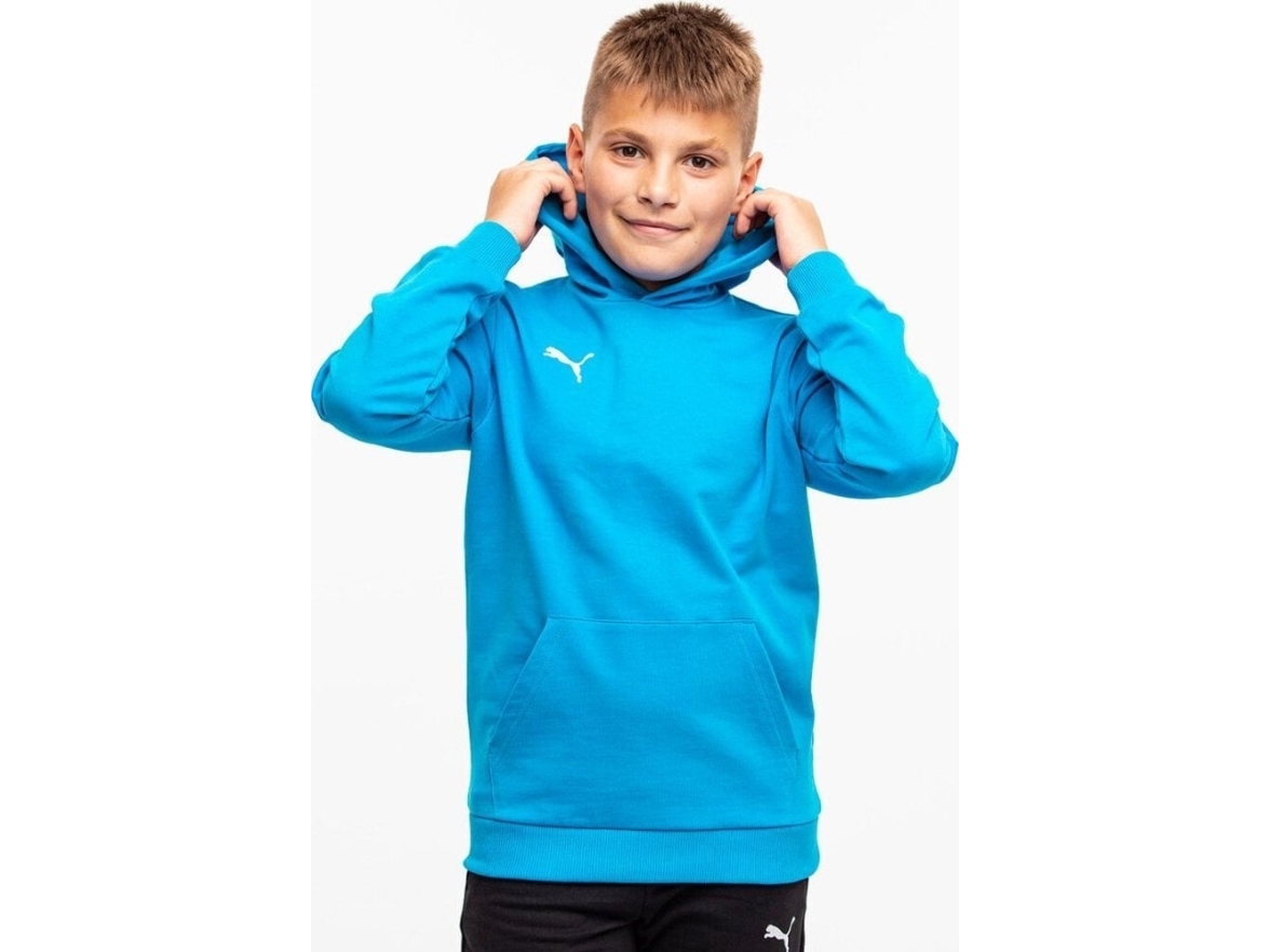 Puma Team Goal Casuals Hoddy Sweatee Shirt Blue 658619 140cm