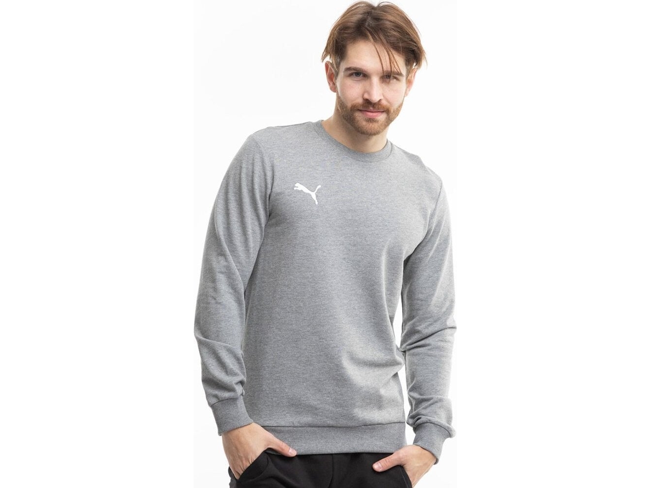 Puma Bluza Męska Puma Team Goal Casuals Crew Neck Sweat Szara 658592 33 M