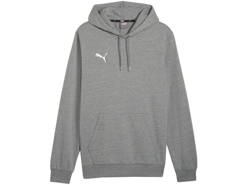Puma Team Goal Casuals Hoody Grau 658618 33