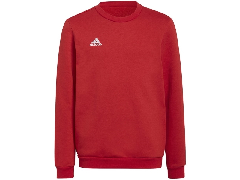 Bluza Adidas Entrada 22 Sweat Top Y H57473