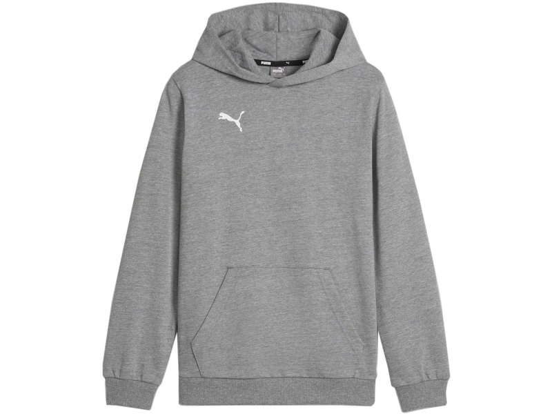 Puma Kinder Sweatshirt Puma Team Goal Casuals Hoddy Grau 658619 33 140Cm
