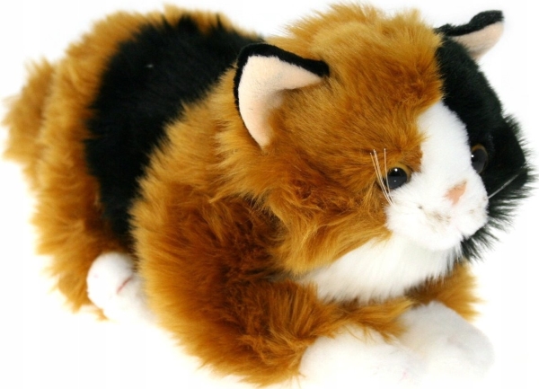 Cat 23 Cm 4 Colors 48822