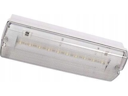 Intelight Oprawa awaryjna LED Intelight Orion MT INLEWA 91895/41628 10xLED 4W 104lm 3h SA/A IP65