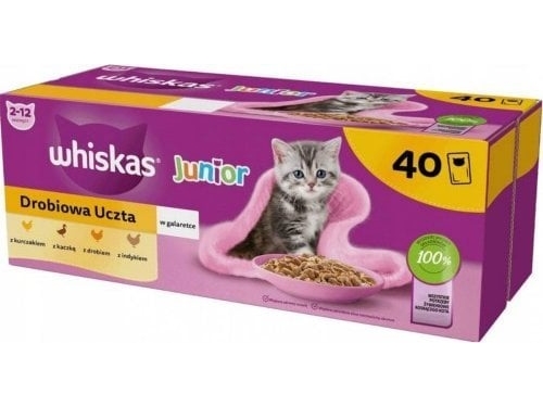 Whiskas Gal Junior Z Drobiem 40X85g