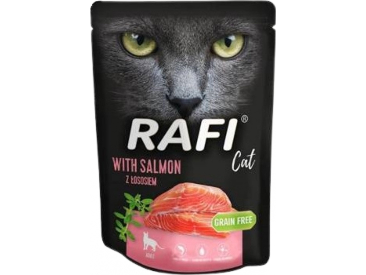 Dolina Noteci Dolina Noteci Rafi Cat Z Łososiem Dla Kota 300G