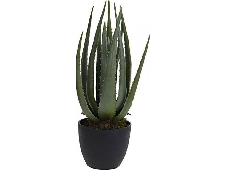 Dekoracja Domu Dirbtinis Augalas Su Vazonu Alavijas 42 Cm