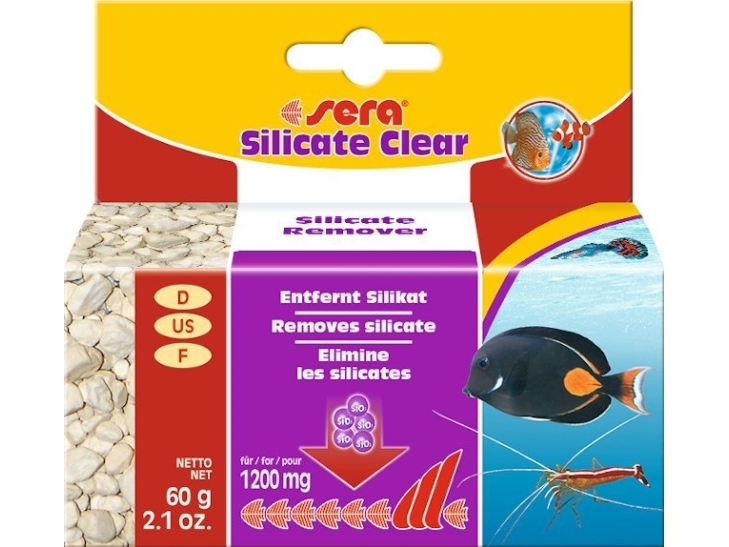 Silicate Clear 60 G
