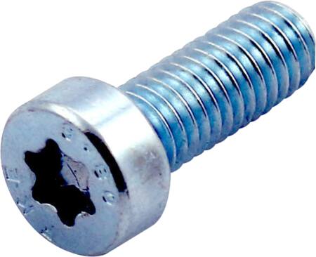 CUBIC 100 st Cylinderskruv, torx, lågt huvud | EL Artiklar - Elcentral - Diverse utrustning för svarta tavlor | GameStuff