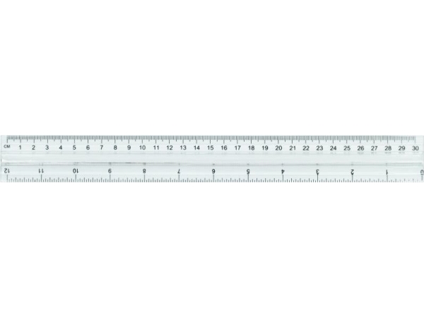 Großes Lineal 30 Cm Plastic