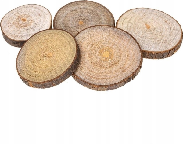 Creativ Company Träskivor 4-6cm | Skola & Hobby - Konsthantverk - Trävaror | GameStuff