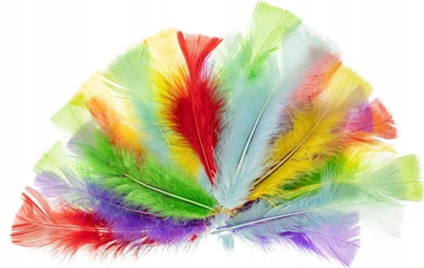Fandy Indische Federn 10–15 Cm Pastell