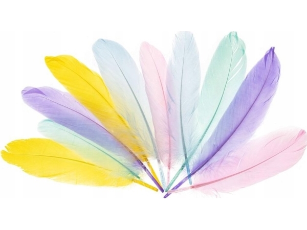 Fandy Gänsefedern 15-20Cm Pastellfarben