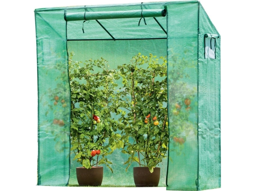 Saska Garden GLASSROOM FOR TOMATOPS GARDEN 200x77x168-150CM PE GREEN