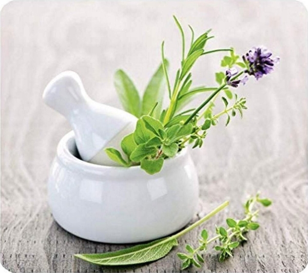 Wenko glasskærm HERB GARDEN til komfur – stor, WENKO