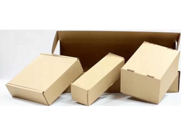 Case-Mate Case-Mate Phone Belt Bag - Torba z paskiem na telefon (Black)