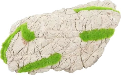 Zolux dekoration til akvarium grå sten KIPOUSS S med frø