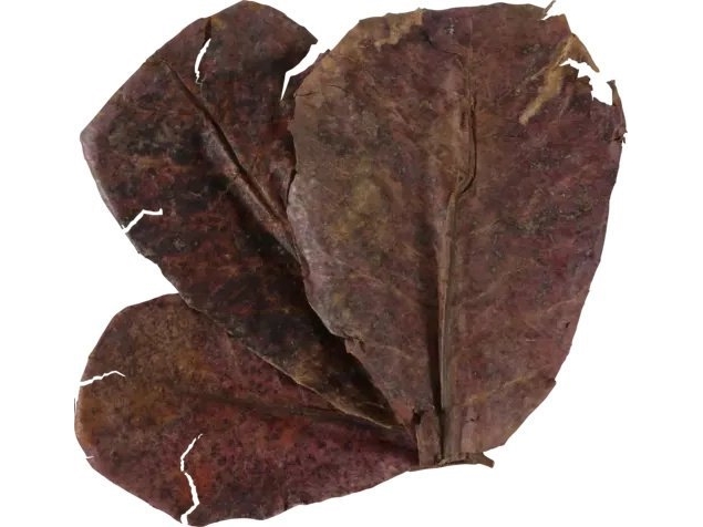 Zolux mandelblade til akvariepleje x14