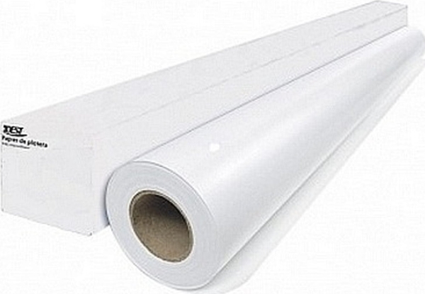 Igepa W ROLI PAPER 594 MM/50 M 80 G