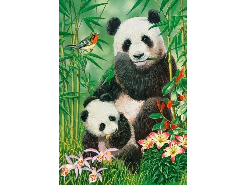 Castorland Puzzle 1000 Elemente Panda Brunch