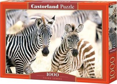 Castorland Puzzle 1000 Junge Zebras Castor