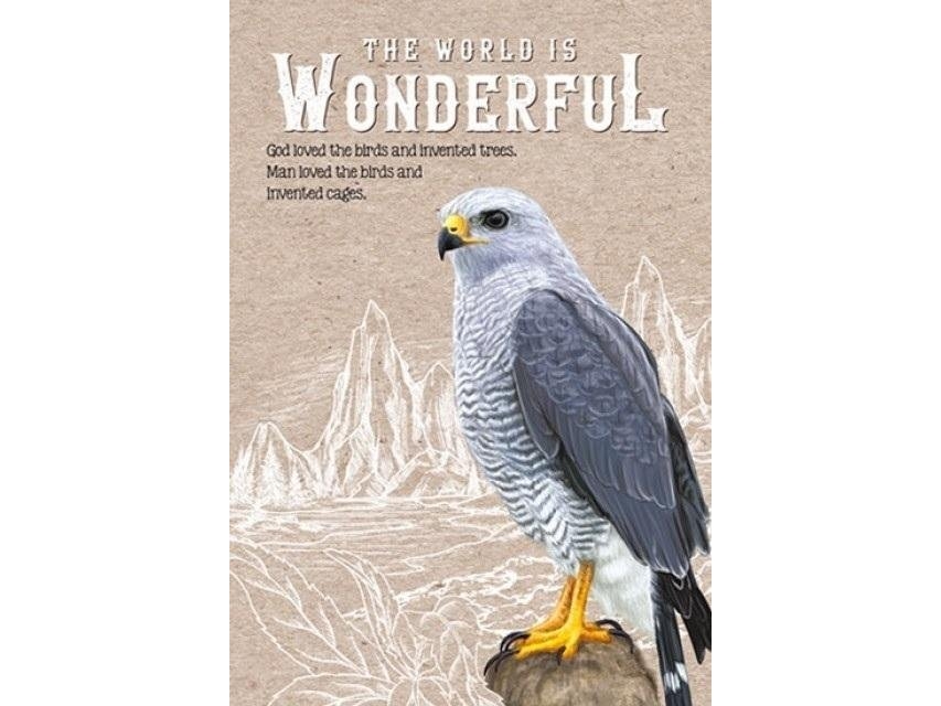 Frisk Dekorativ notesbog 143x210 64K gitter TW Falcon |