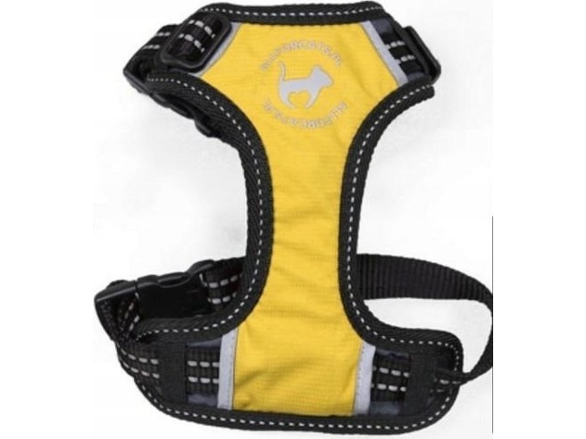 All For Dogs ALL FOR CATS sportsele XS gul