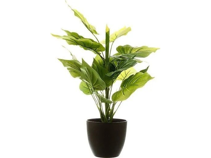 Atmosphera Kunstig Prydplante, 45 Cm, Naturlig Fornemmelse, Sort Potte