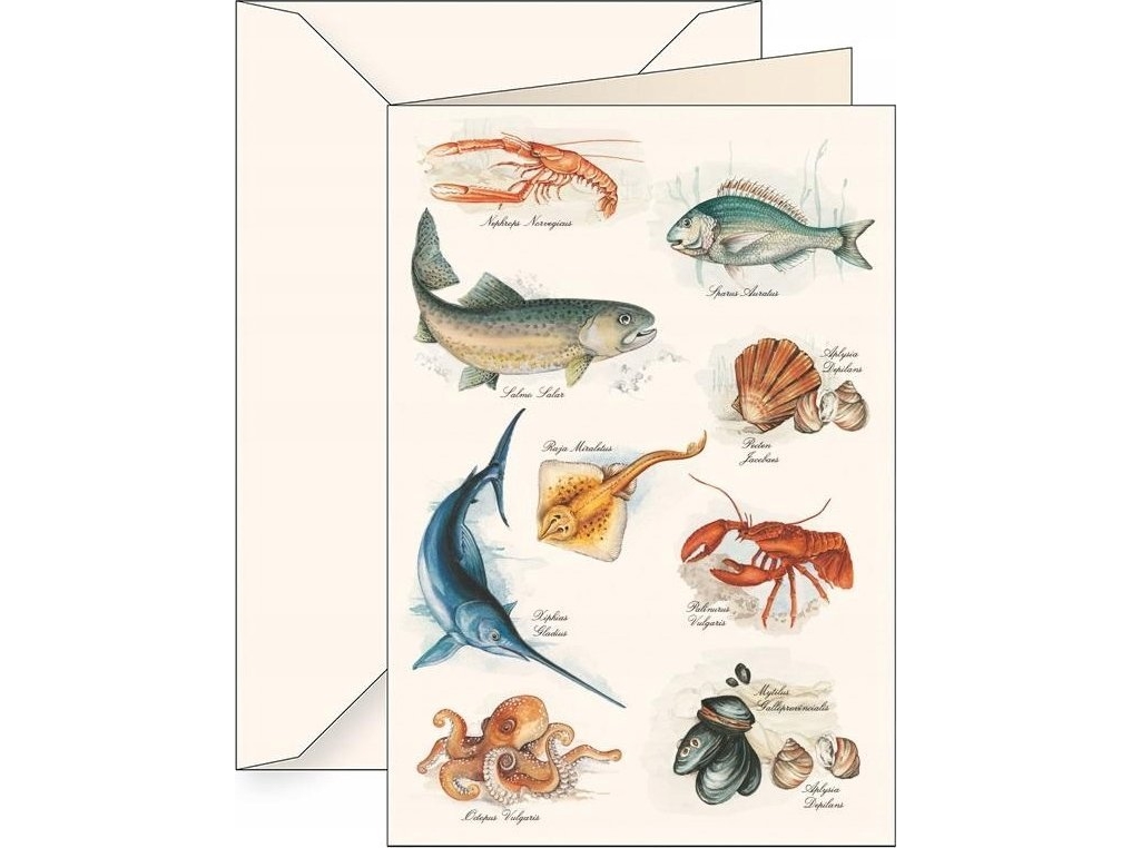 Tassotti Karnet B6 + koperta 5609 Morze | Bordssättning - Bar & vin - Menykort | GameStuff