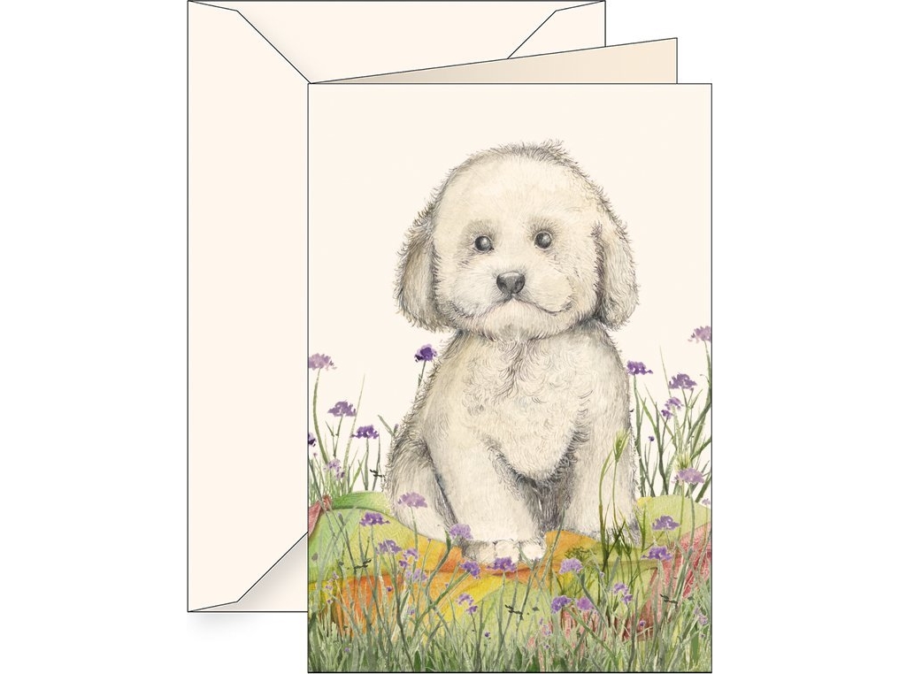 Tassotti Karnet B6 + koperta 6180 Pudel | Papper & Emballage - Kuvert & påsar - Speciella kuvert | GameStuff