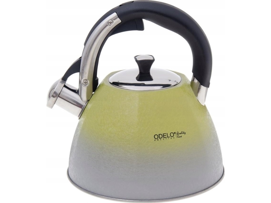 Kamille Wasserkocher 2,5 L Edelstahl, Zweifarbig, Doriano
