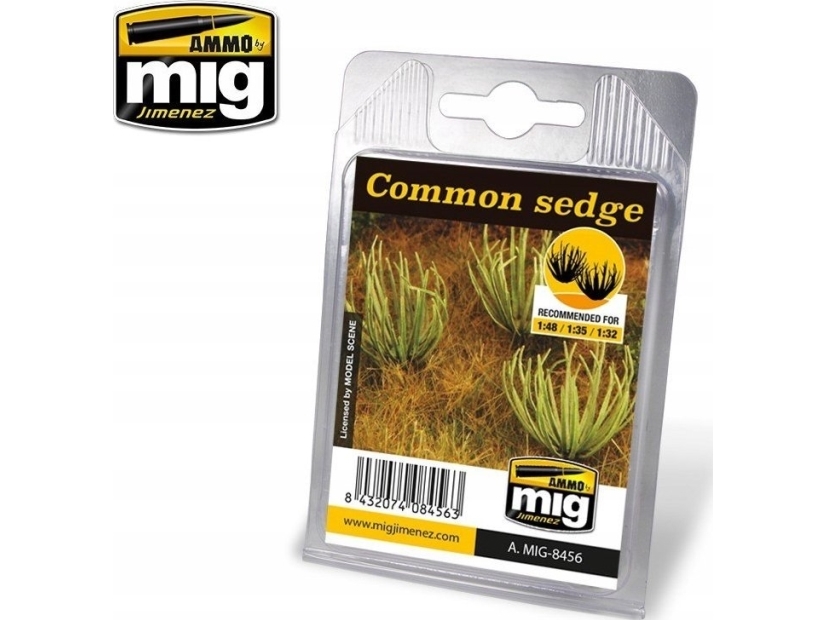 Vallejo Ammo: Plants - Common Sedge