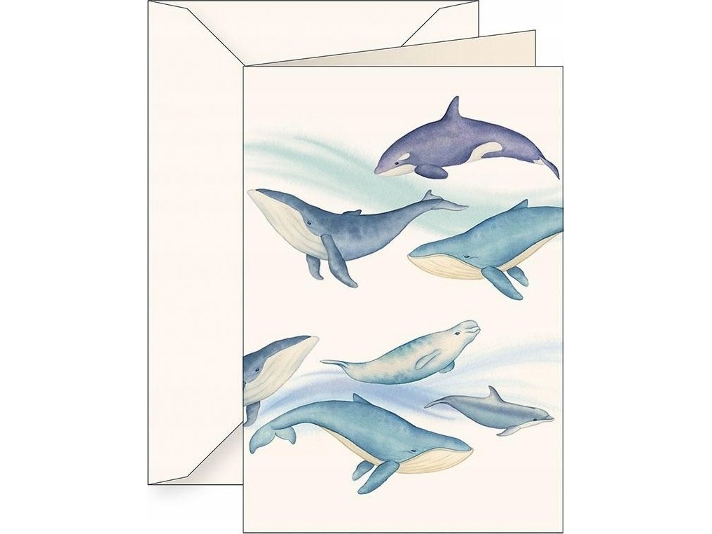 Tassotti Karnet B6 + koperta 6144 Ssaki morskie | Bordssättning - Bar & vin - Menykort | GameStuff