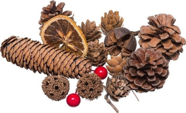 Weihnachtsdekoration Brewis Dekorativ Getrocknet 30~40G Sd 1